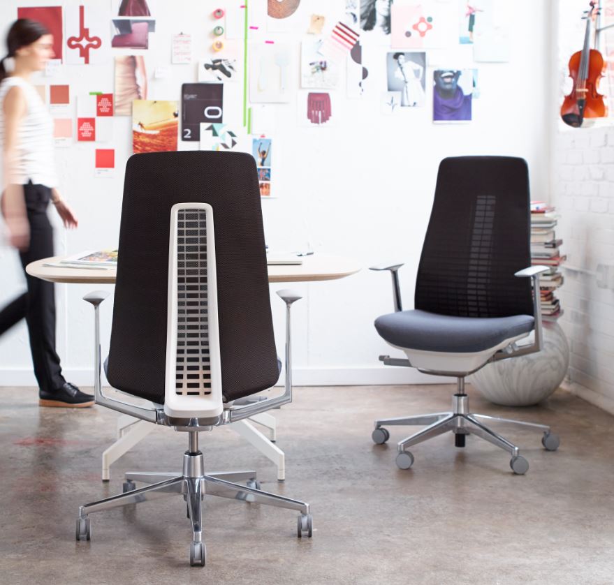 Haworth Fern - Main Image