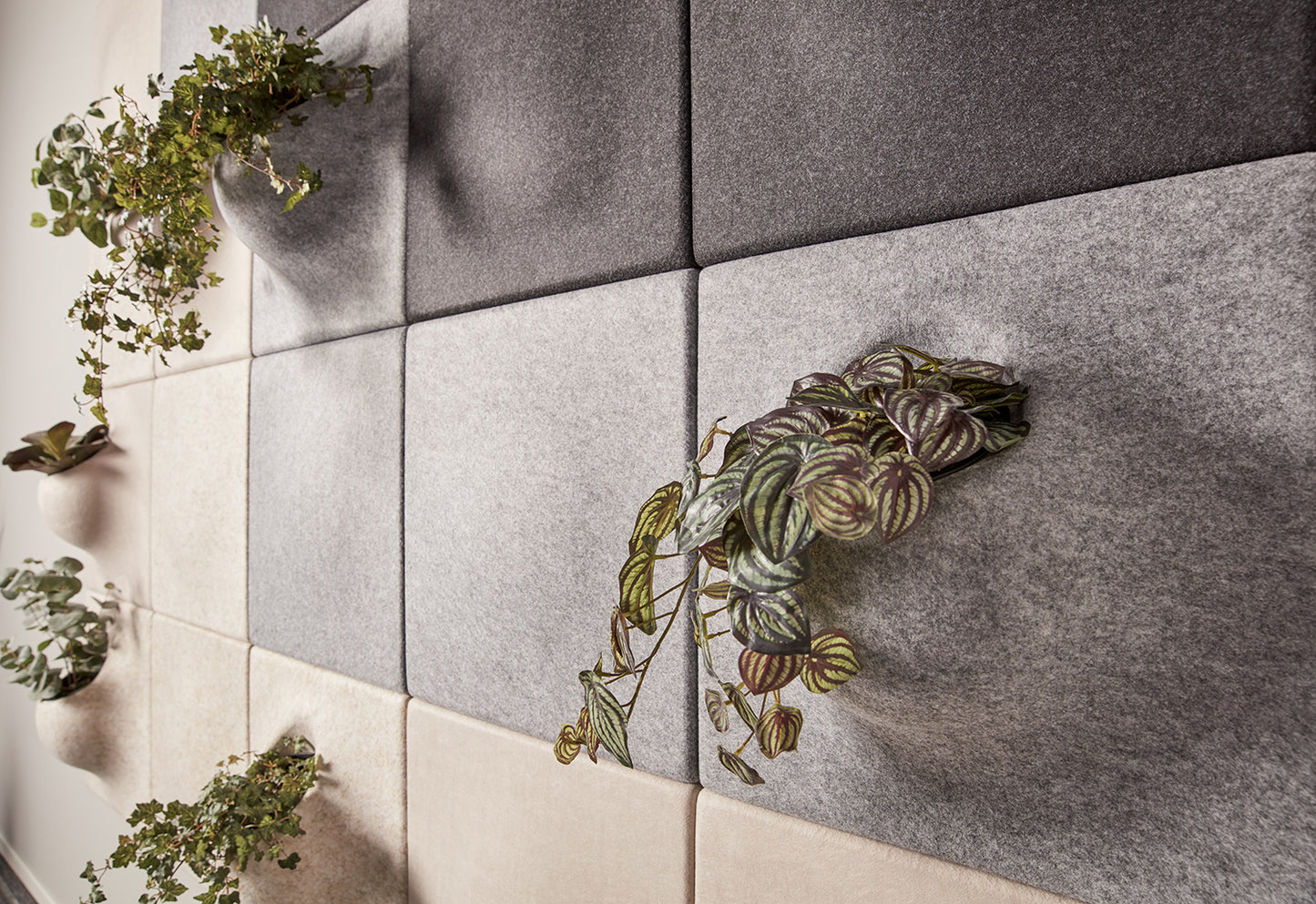 Plant Panel